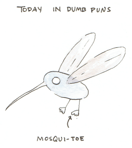 mosquito